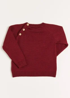 Knitwear & Cardigans | Knitwear & Cardigans | Pepa London Doggy Intarsia Jumper in Burgundy (12mths-10yrs)